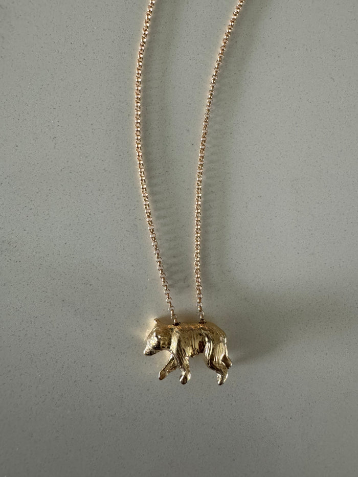 Tom's Gold Bear