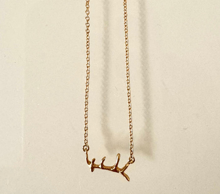 Antler Shed Necklace