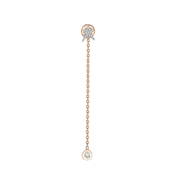 Star Studded Dangle Earring
