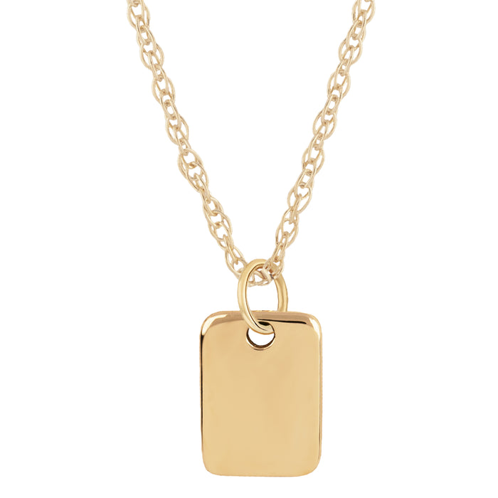 14k Gold Mini Dog Tag 18" Necklace